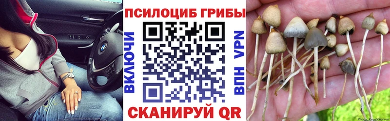 shop формула  купить наркотик  Поворино  Псилоцибиновые грибы мухоморы 